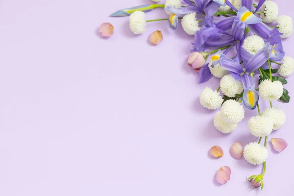 Belles Fleurs Sur Fond Papier Violet — Photo