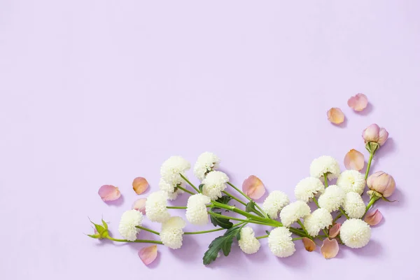 紫色の紙の背景に美しい花 — ストック写真