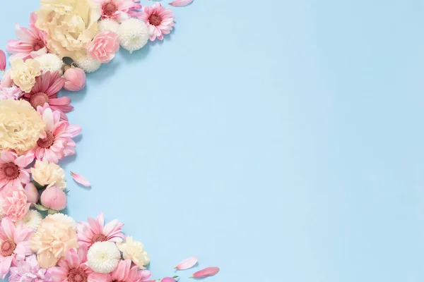 Красиві Квіти Синьому Фоні — стокове фото