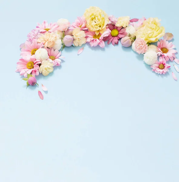 Schöne Blumen Auf Blauem Hintergrund — Stockfoto