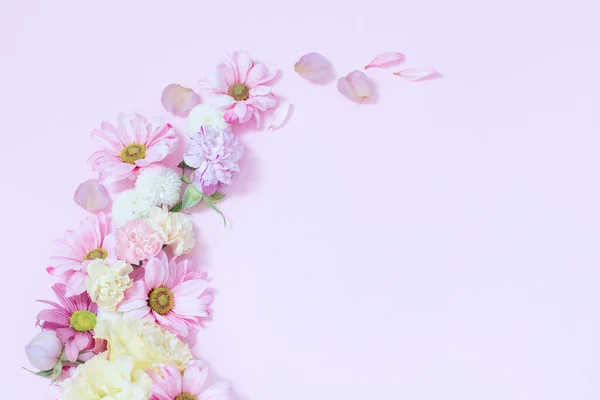 Όμορφα Λουλούδια Ροζ Φόντο — Φωτογραφία Αρχείου