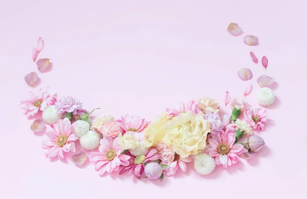 Vackra Blommor Rosa Bakgrund — Stockfoto