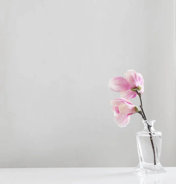 Růžová Magnólie Květiny Skleněné Váze Bílém Pozadí — Stock fotografie