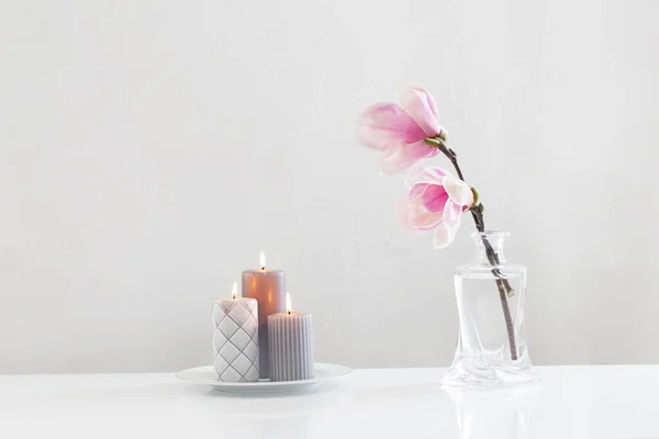Beyaz Zemin Üzerinde Cam Vazoda Pembe Manolya Çiçekleri — Stok fotoğraf