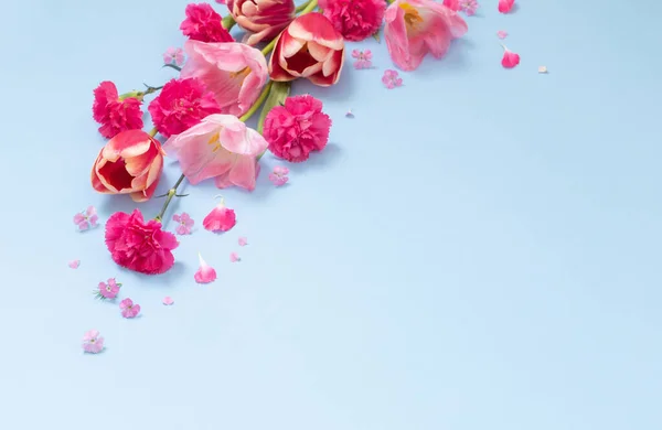 Красиві Весняні Квіти Синьому Фоні — стокове фото