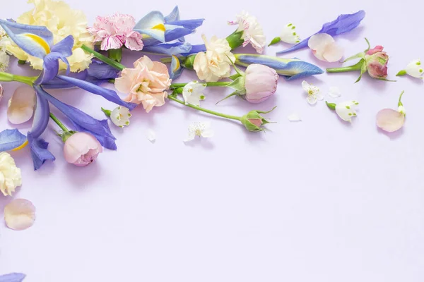 Schöne Frühlingsblumen Auf Papier Hintergrund — Stockfoto