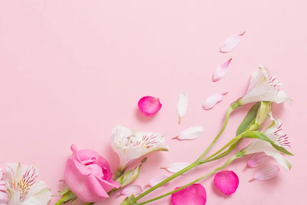 Schöne Rosa Und Weiße Blumen Auf Rosa Hintergrund — Stockfoto
