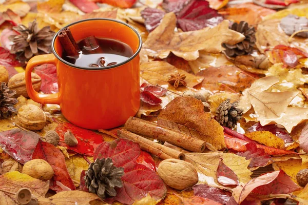 Апельсиновая Чашка Кофе Пряностями Фоне Осенних Листьев — стоковое фото