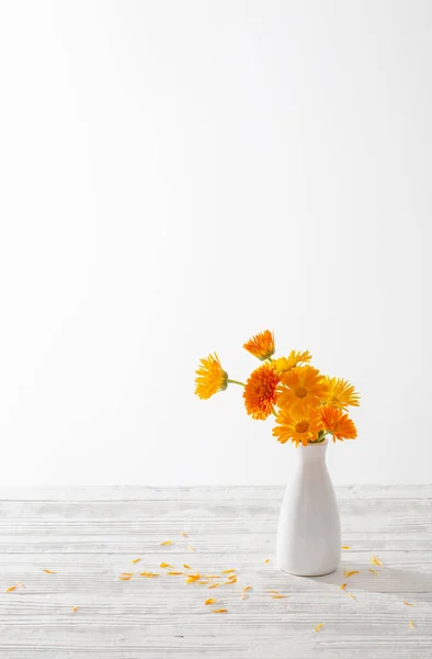 Oranje Goudsbloem Witte Vaas Witte Achtergrond — Stockfoto