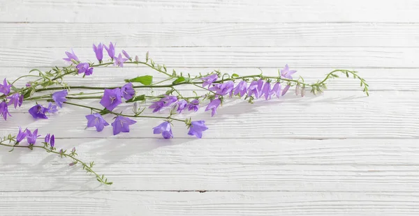 Bluebell Kwiaty Białym Drewnianym Tle — Zdjęcie stockowe