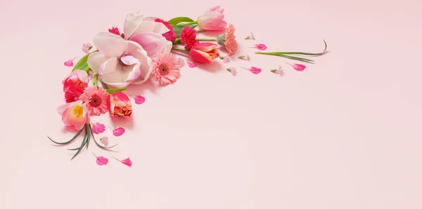 Lindas Flores Primavera Fundo Rosa — Fotografia de Stock