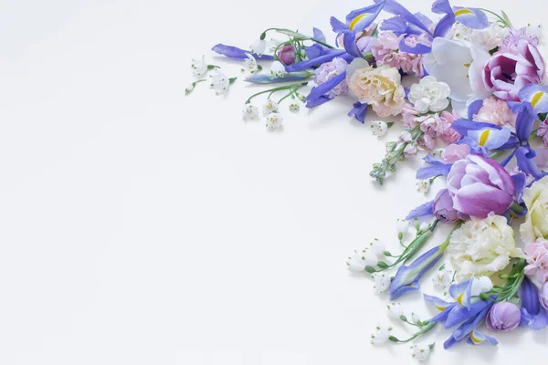 Schöne Frühlingsblumen Auf Pastellfarbenem Hintergrund — Stockfoto