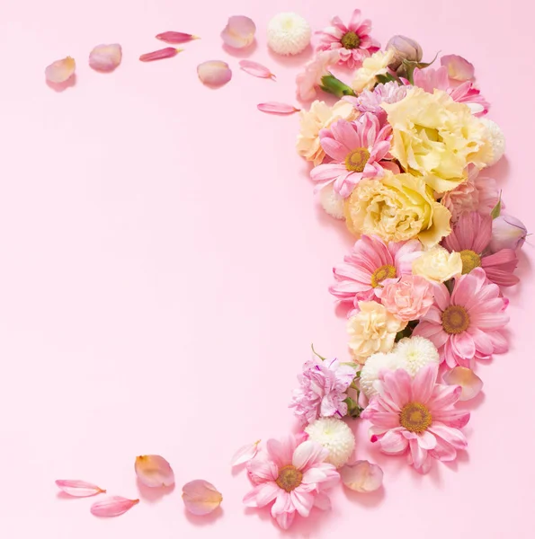 Schöne Blumen Auf Rosa Hintergrund — Stockfoto