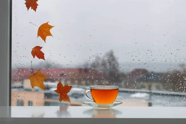 Filiżanka Herbaty Parapecie Jesiennymi Liśćmi Szybie Okiennej — Zdjęcie stockowe