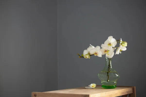 背景墙上木制架子上的老式玻璃瓶中的白色兰花 — 图库照片