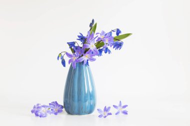 Mavi ve mor kar damlaları beyaz arkaplanda mavi vazoda 