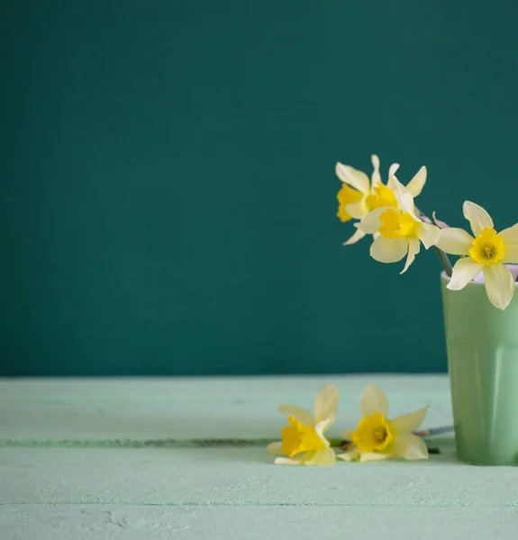 Narciso Amarelo Vaso Sobre Fundo Verde — Fotografia de Stock