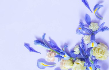 mor arka planda güzel bahar çiçekler