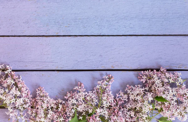 Lila Blumen Auf Altem Lila Holz Hintergrund — Stockfoto