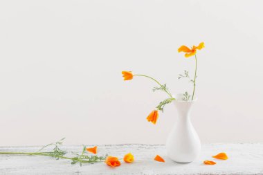 Beyaz vazoda turuncu eschscholzia