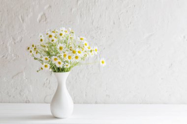 Beyaz arkaplanda vazoda papatya çayı