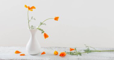 Beyaz vazoda turuncu eschscholzia