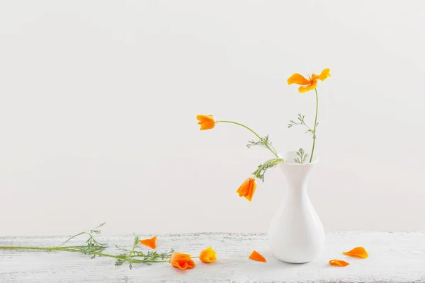 stock image orange eschscholzia  in white vase