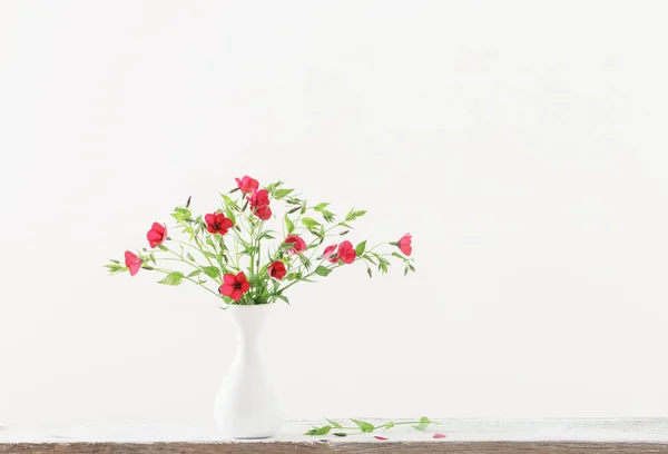 Літні Квіти Білій Вазі — стокове фото