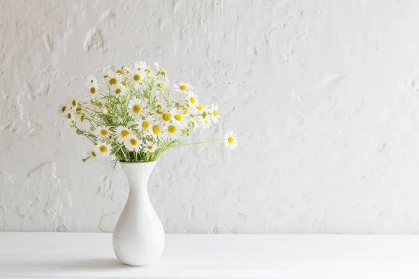 白い背景の花瓶に野生のカモミール — ストック写真