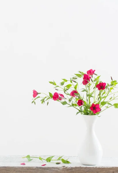 Flores Verano Jarrón Blanco — Foto de Stock