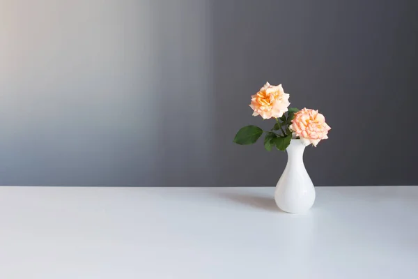 Дві Троянди Білій Вазі Сірому Фоні — стокове фото