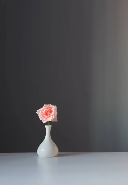pink rose in white vase on gray background