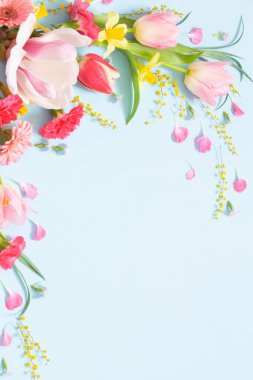 Mavi arka planda güzel bahar çiçekleri