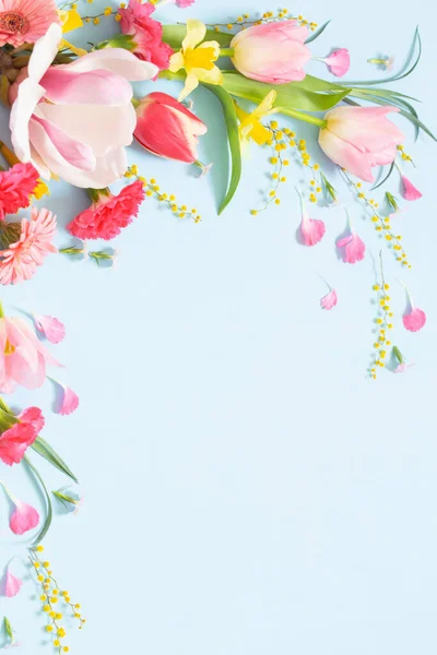 Piękne Wiosenne Kwiaty Niebieskim Tle — Zdjęcie stockowe