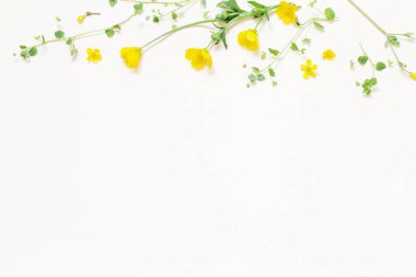 Beyaz arka planda sarı yabani çiçekler