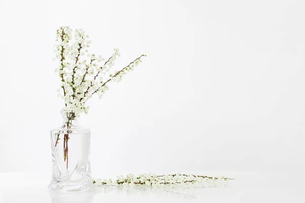白い背景のガラス花瓶の白い春の花 — ストック写真