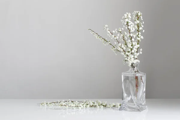 Flores Blancas Primavera Jarrón Vidrio Sobre Fondo Blanco —  Fotos de Stock