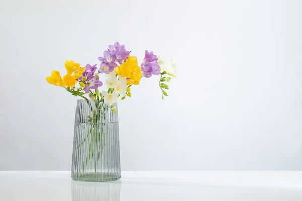 Freezia Květiny Skle Moderní Váza Bílém Pozadí — Stock fotografie