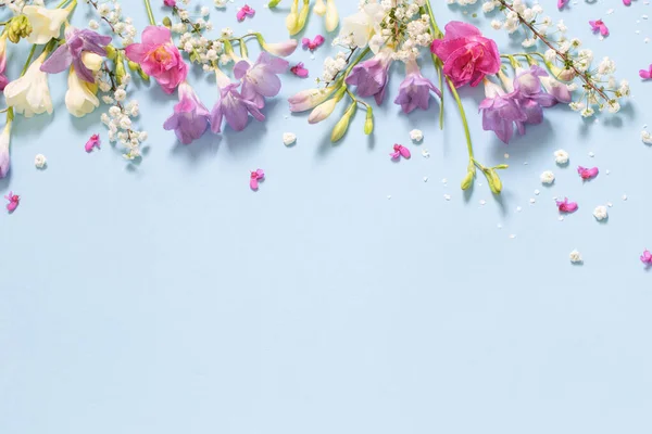 Vår Vackra Blommor Blå Bakgrund — Stockfoto