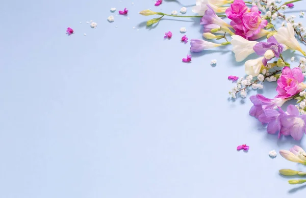 青い背景の春の美しい花 — ストック写真