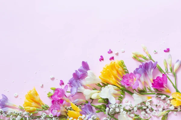 Flores Primavera Fundo Rosa Pastel — Fotografia de Stock