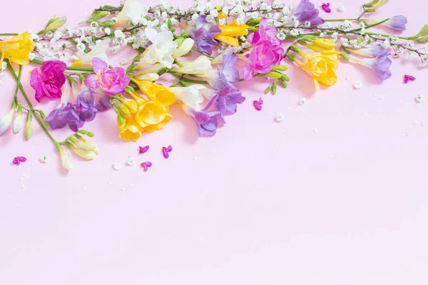 Flores Primavera Fundo Rosa Pastel — Fotografia de Stock