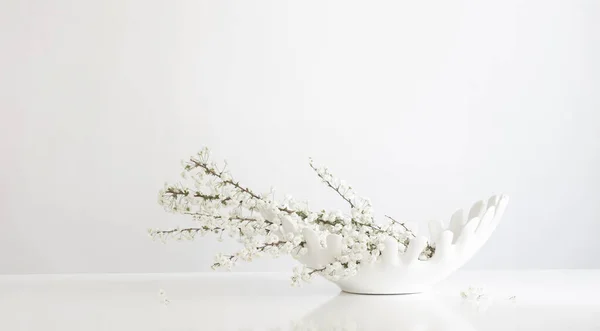 Белые Весенние Цветы Керамической Белой Вазе Белом Фоне — стоковое фото