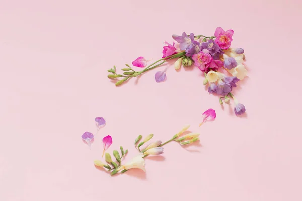Beautiful Freesia Flowers Pink Background — Stock Photo, Image