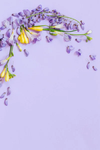 Glyzinien Und Freesia Blumen Auf Violettem Hintergrund — Stockfoto