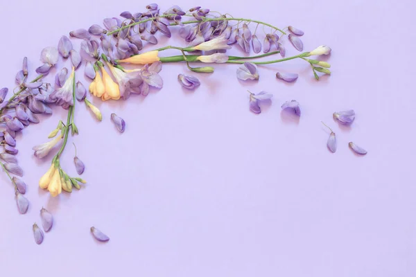 Wisteria Freesia Květiny Fialovém Pozadí — Stock fotografie