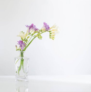 Beyaz arkaplanda cam vazoda frezya