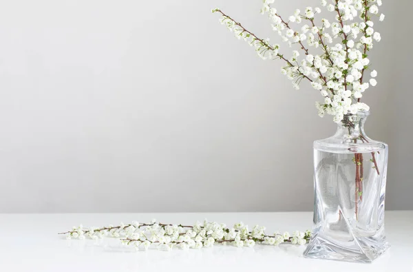 Flores Blancas Primavera Jarrón Vidrio Sobre Fondo Blanco — Foto de Stock