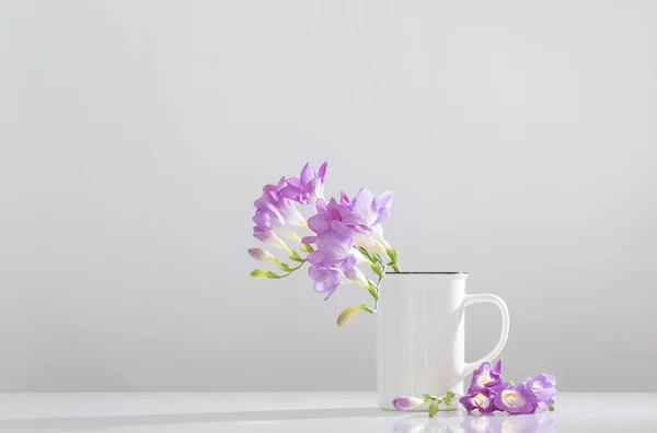 Purpurowa Frezja Szklanym Wazonie Białym Tle — Zdjęcie stockowe