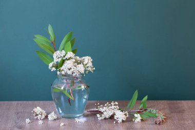 Yeşil arka planda cam kavanozda beyaz bahar çiçekleri